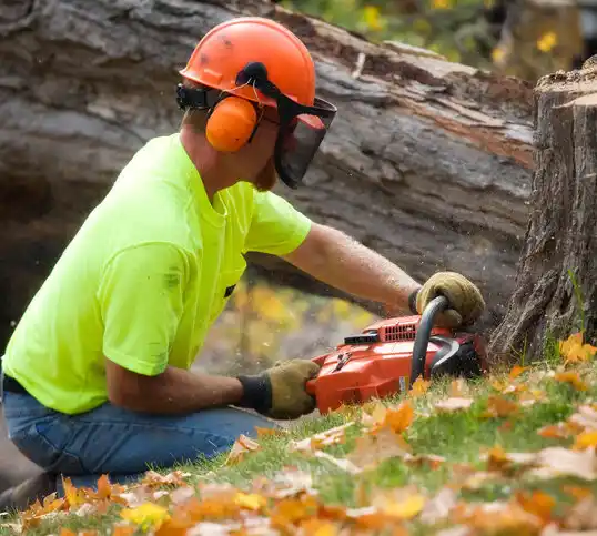 tree services Rutherfordton